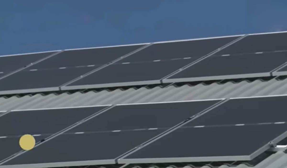 Političar Nenad Čanak  (3).jpg