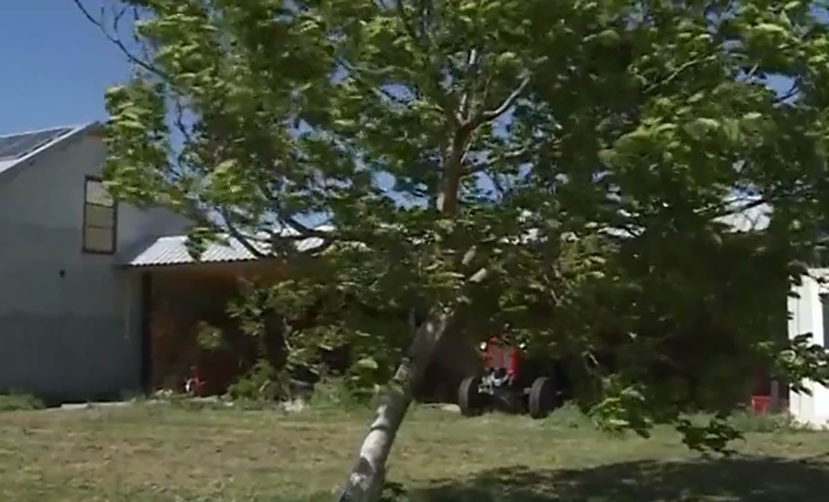 Političar Nenad Čanak  (7).jpg