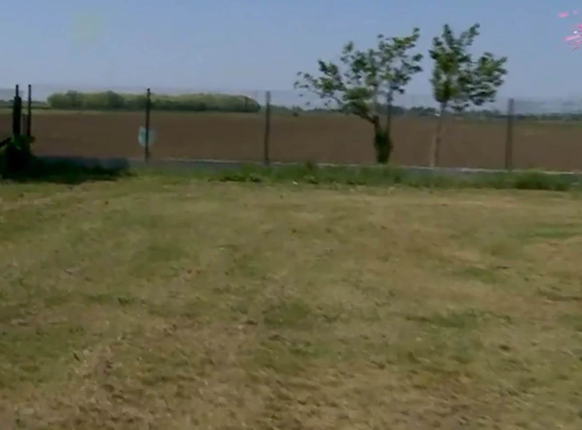 Političar Nenad Čanak  (9).jpg