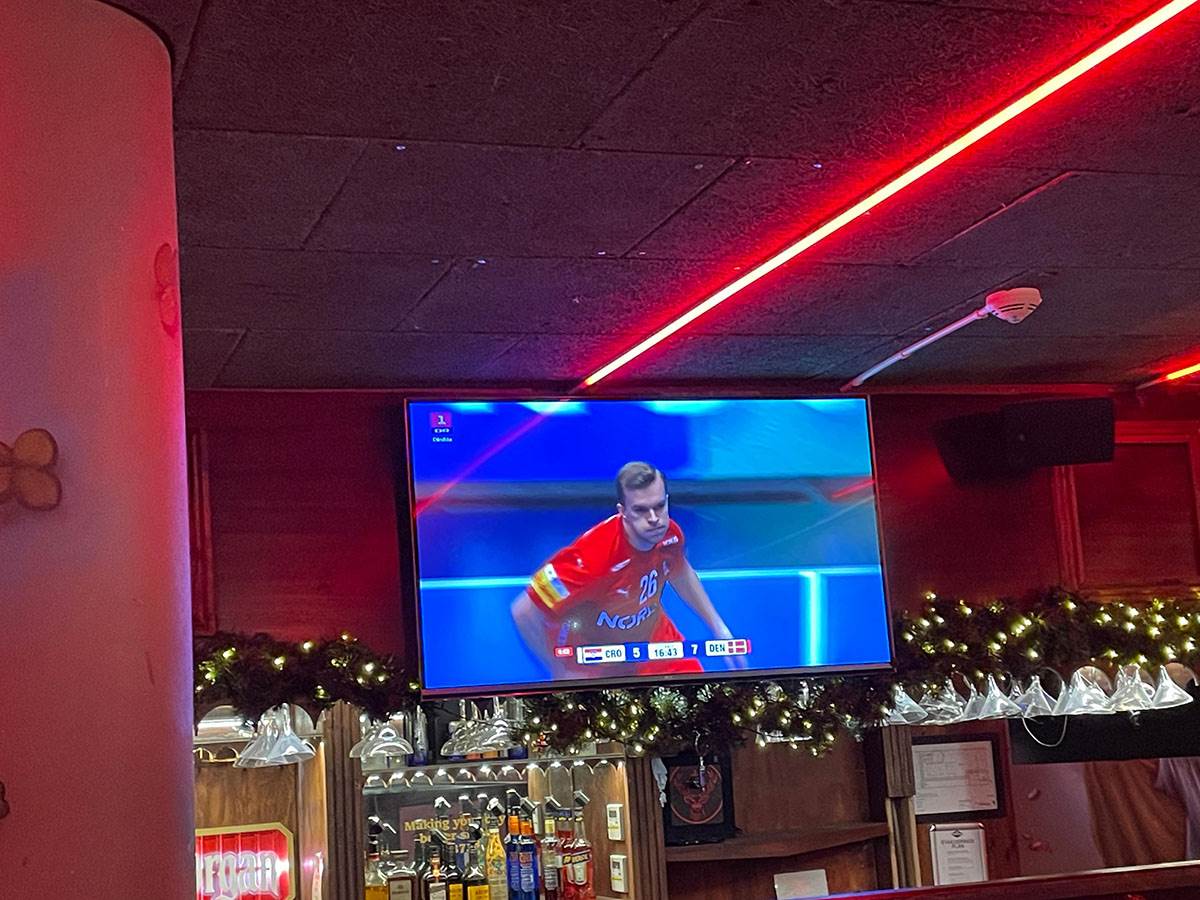 Danska Hrvatska iz Kopenhagena (5).jpg