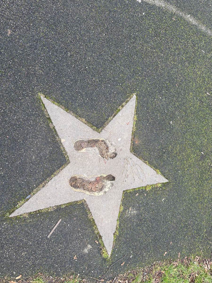 Zlatan Ibrahimović kraj Rosengord u kom je odrastao MONDO reportaža