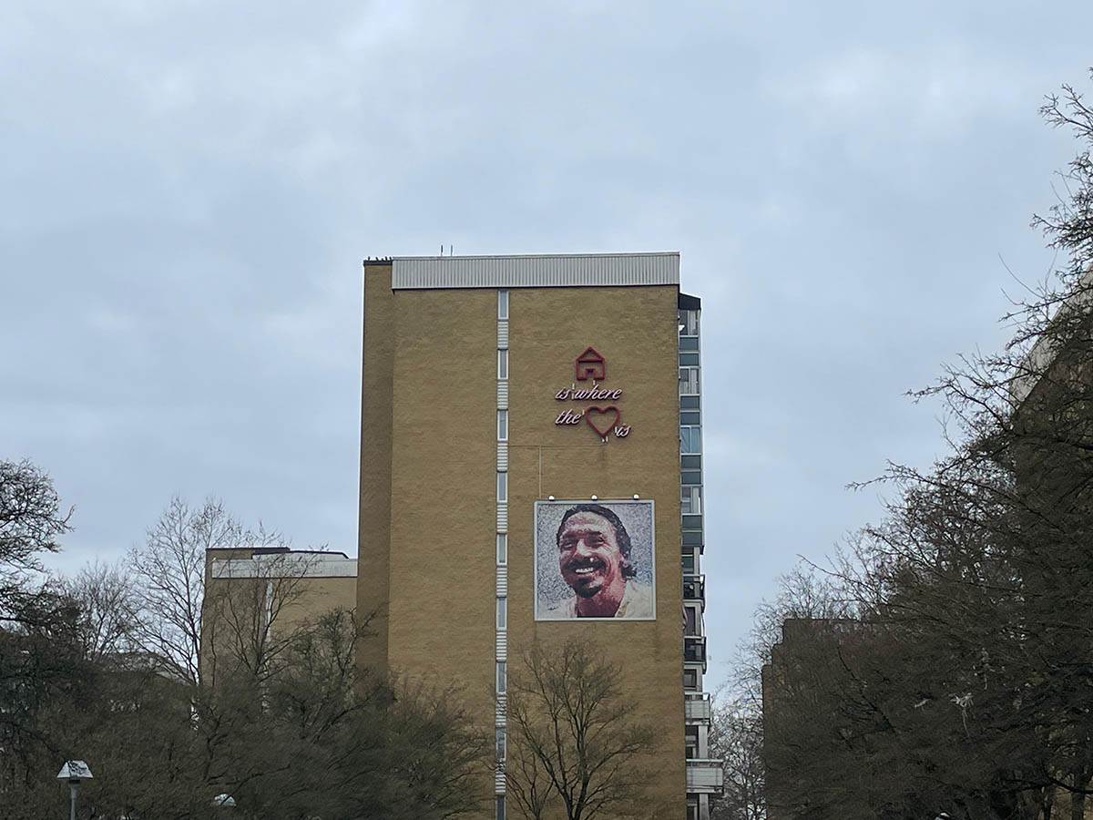 Rosengord Zlatan Ibrahimović (17).jpg