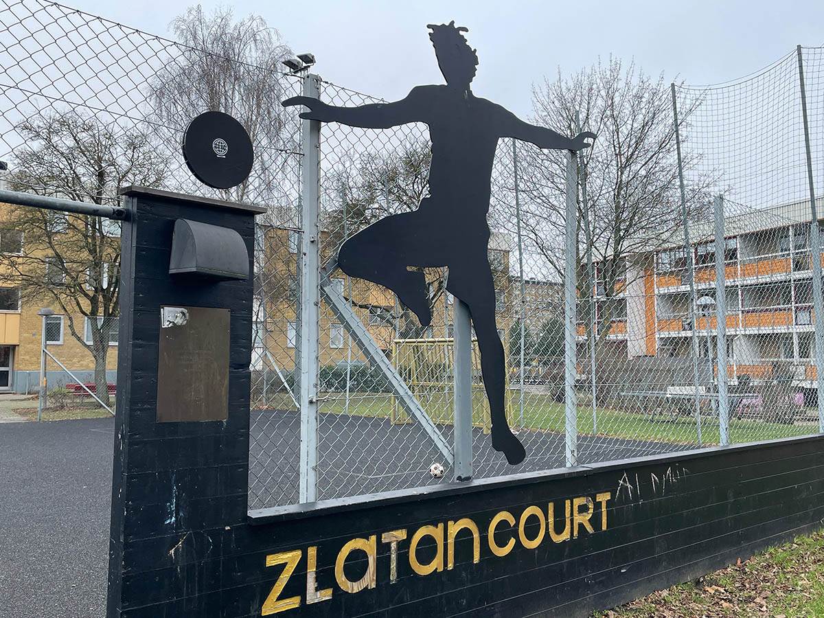 Rosengord Zlatan Ibrahimović.jpg