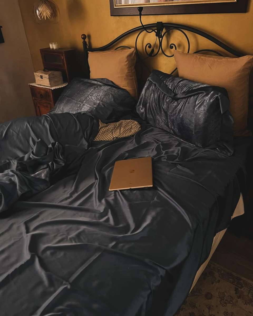 Danijela Dvornik, kuća