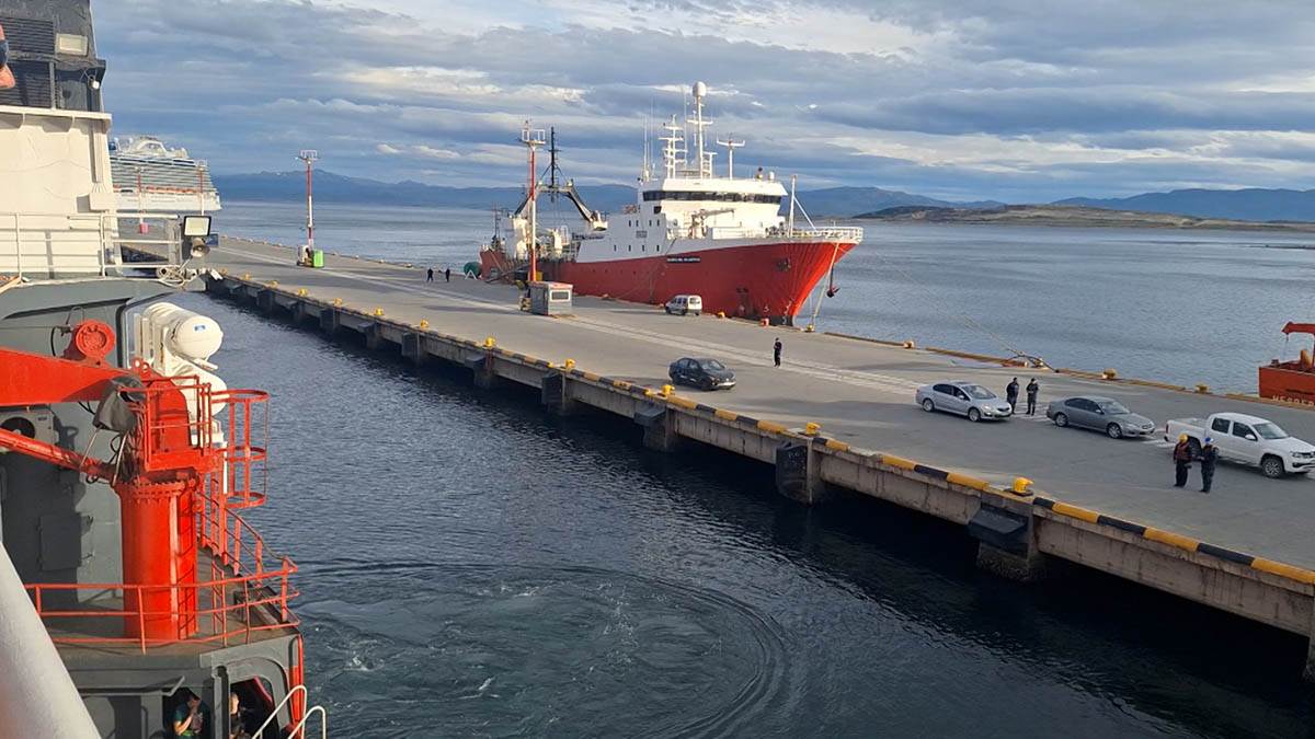 dr Vesna Mačić 1.jpg