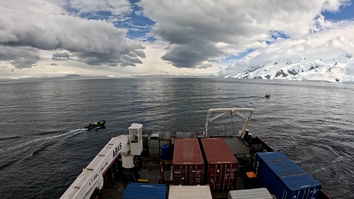 dr Vesna Mačić 4.jpg