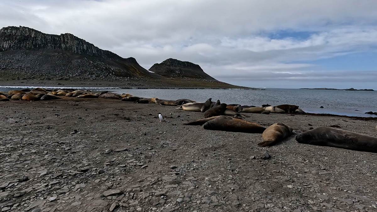 dr Vesna Mačić 5.jpg