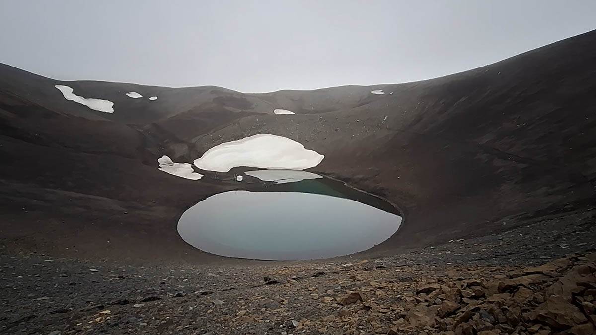 dr Vesna Mačić 7.jpg