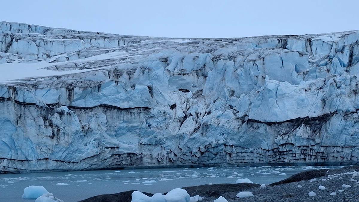 dr Vesna Mačić 8.jpg