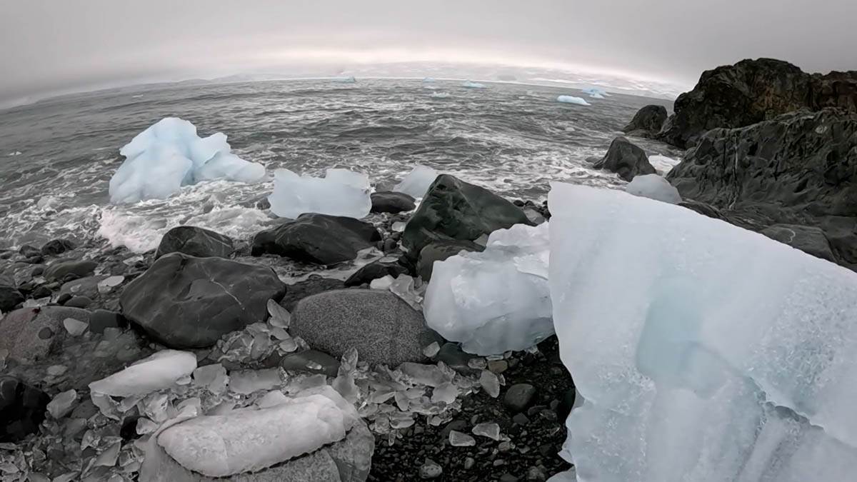 dr Vesna Mačić 10.jpg