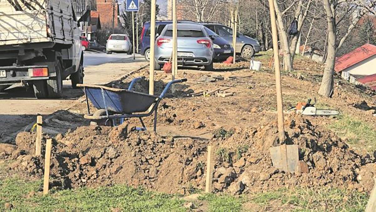 Urbanim ozelenjavanjem do čistijeg Niša: 25 novih stabala lišćara unaprediće životnu sredinu 