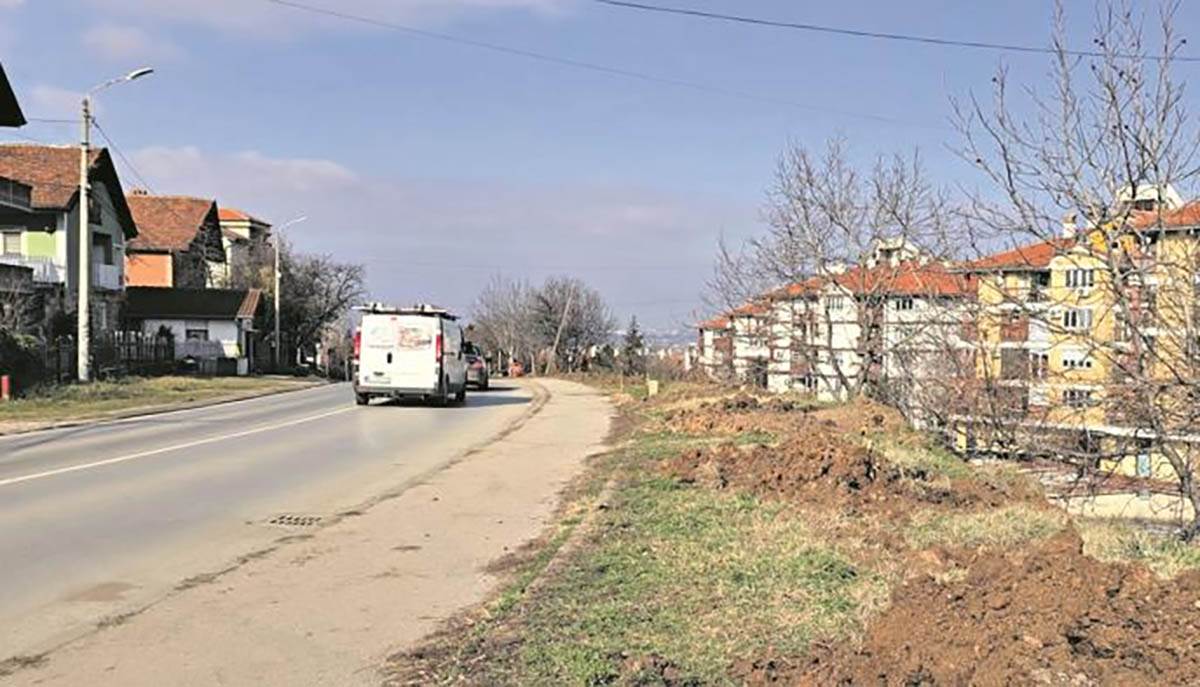 Urbanim ozelenjavanjem do čistijeg Niša: 25 novih stabala lišćara unaprediće životnu sredinu 