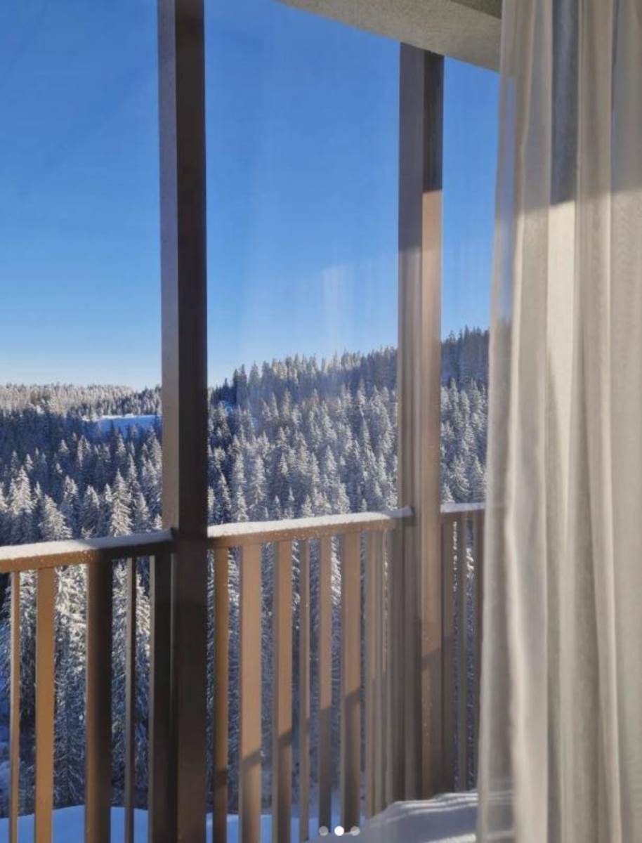 Stan Petra Graša na planini