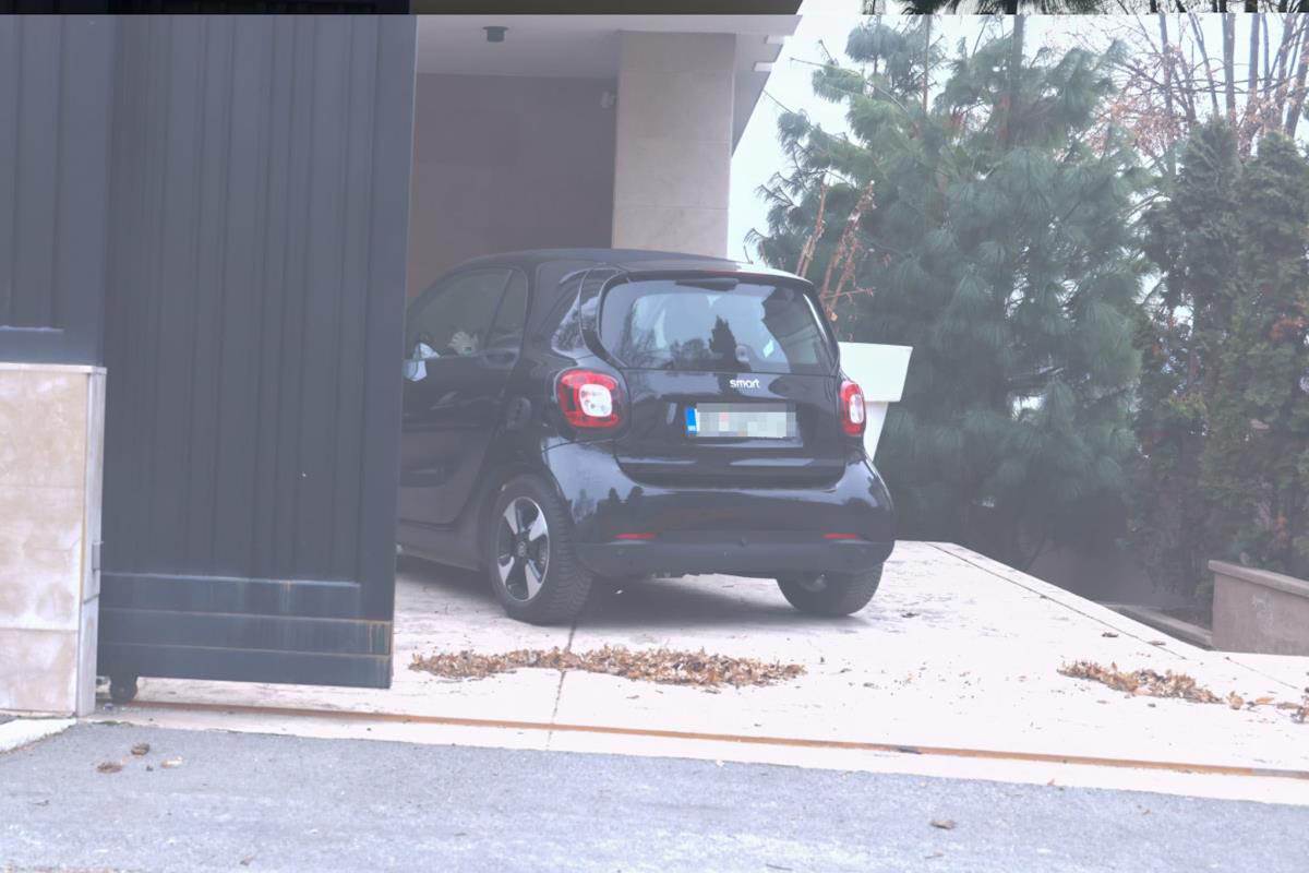 Vila Aleksandra Papića 4.jpg