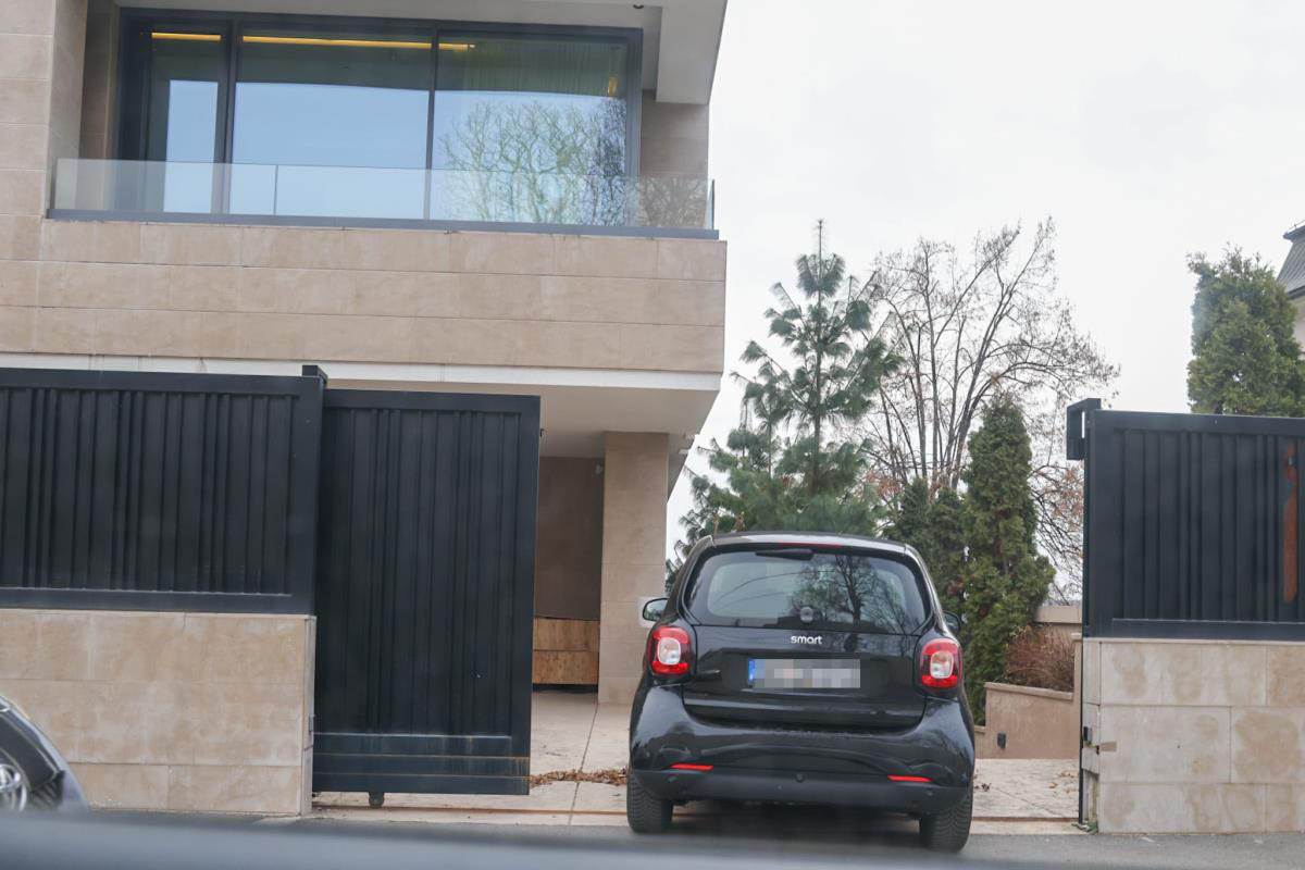 Vila Aleksandra Papića5.jpg