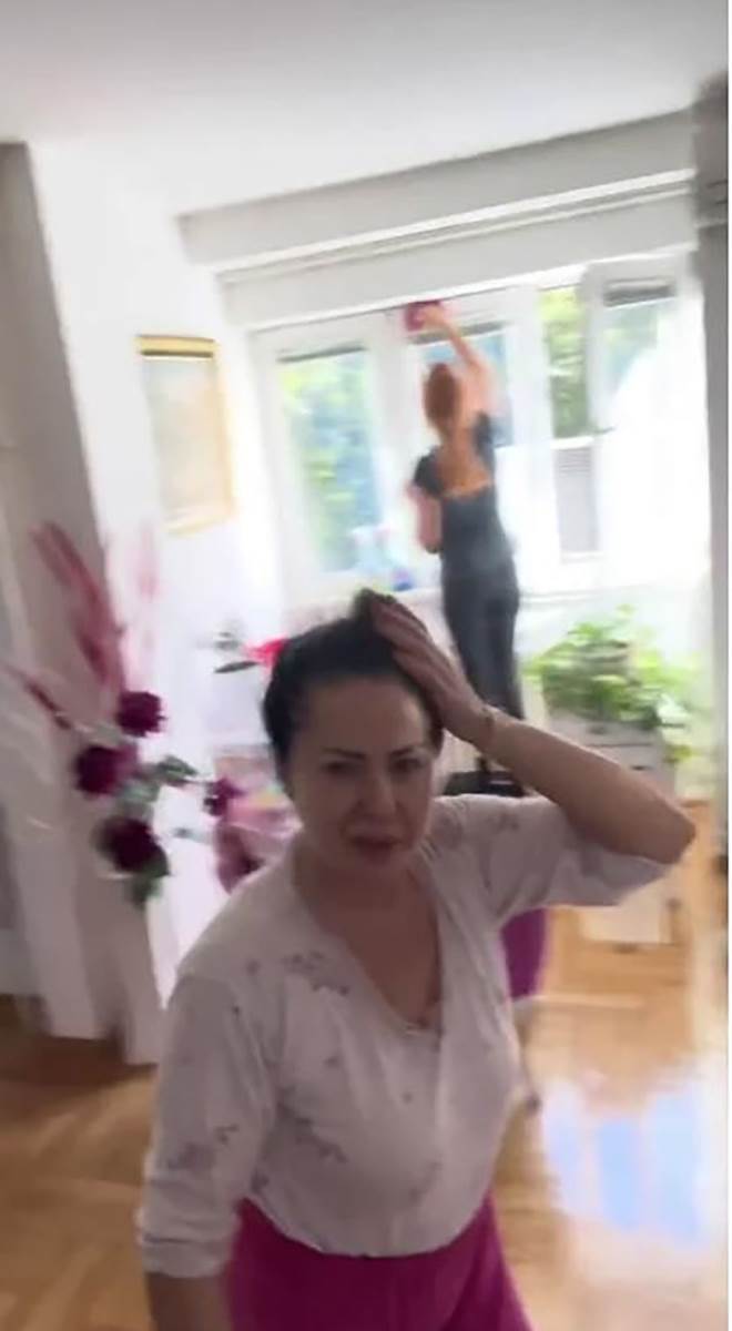 Dom Zlate Petrović i Jovana Pejića.jpg