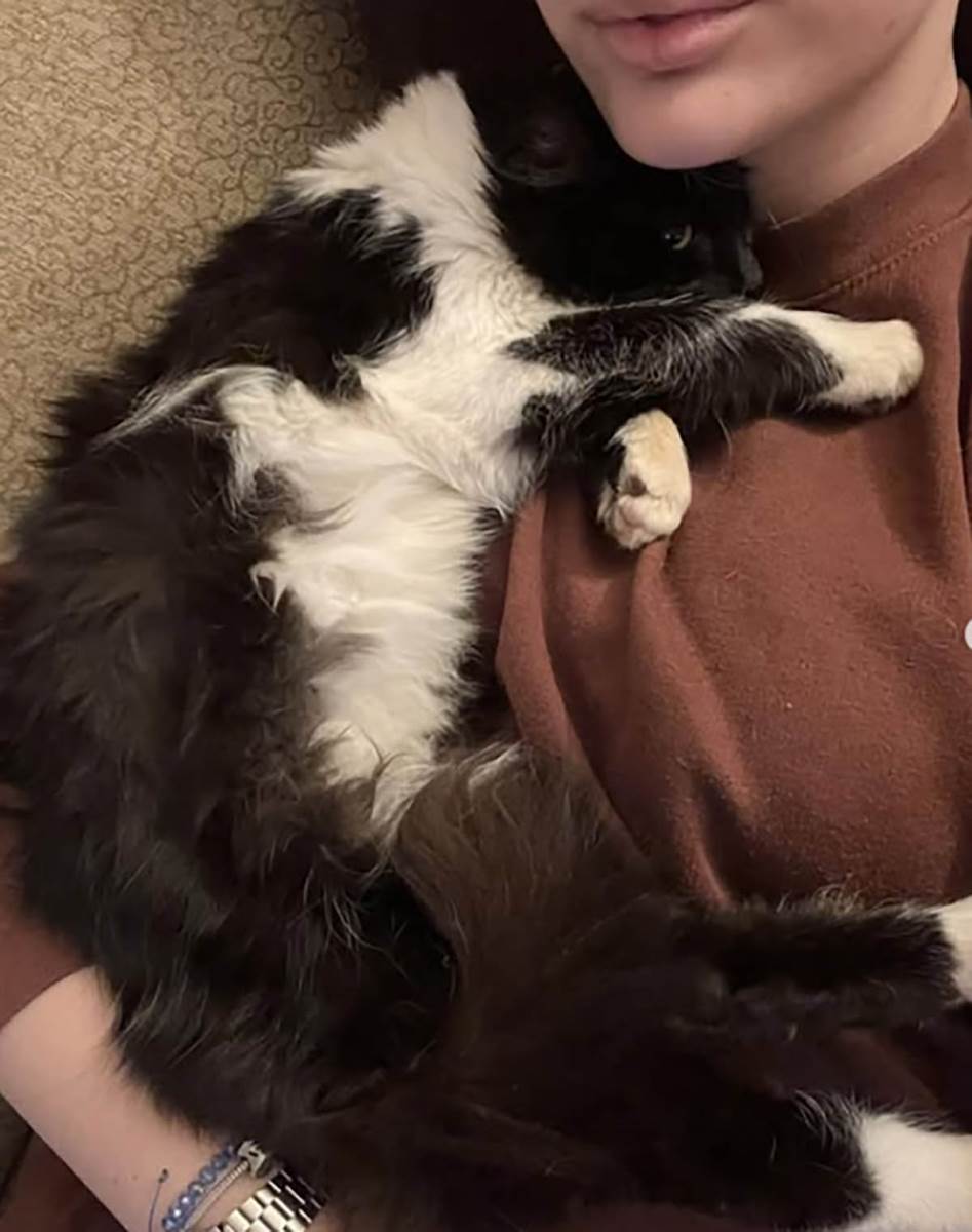 Devojka sa zmijom kućni ljubimci