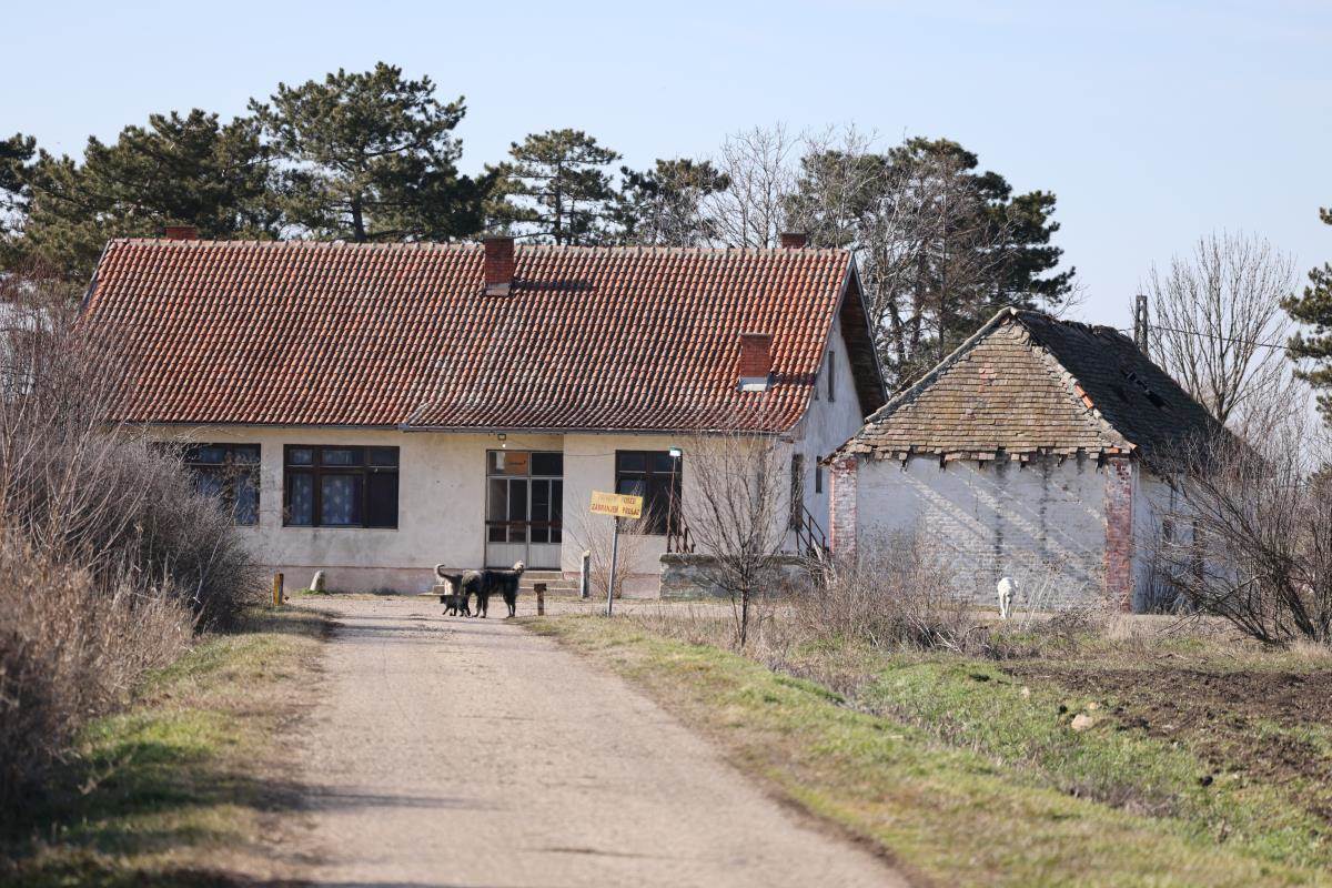 Imanje Dragana Tikića.jpg