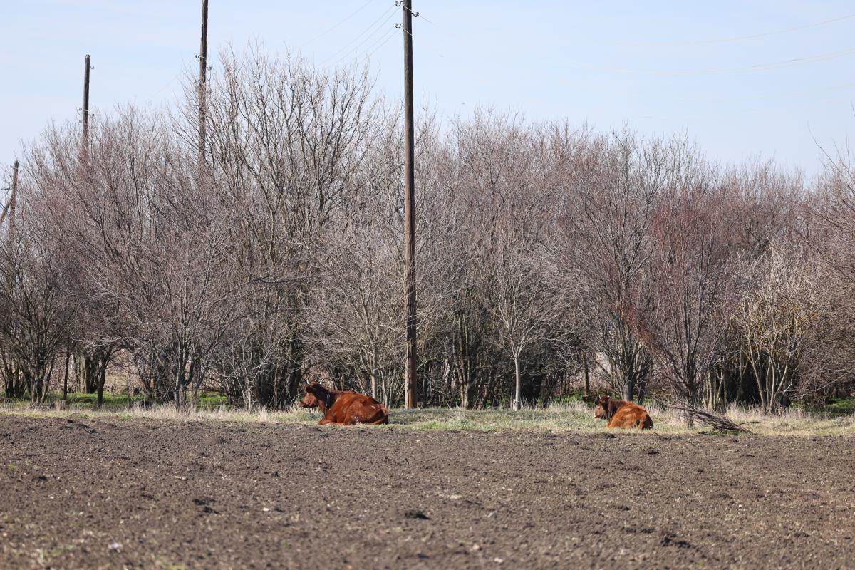 Imanje Dragana Tikića.jpg