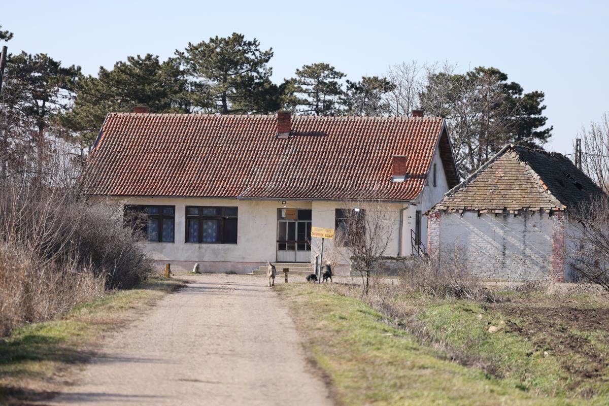 Imanje Dragana Tikića.jpg