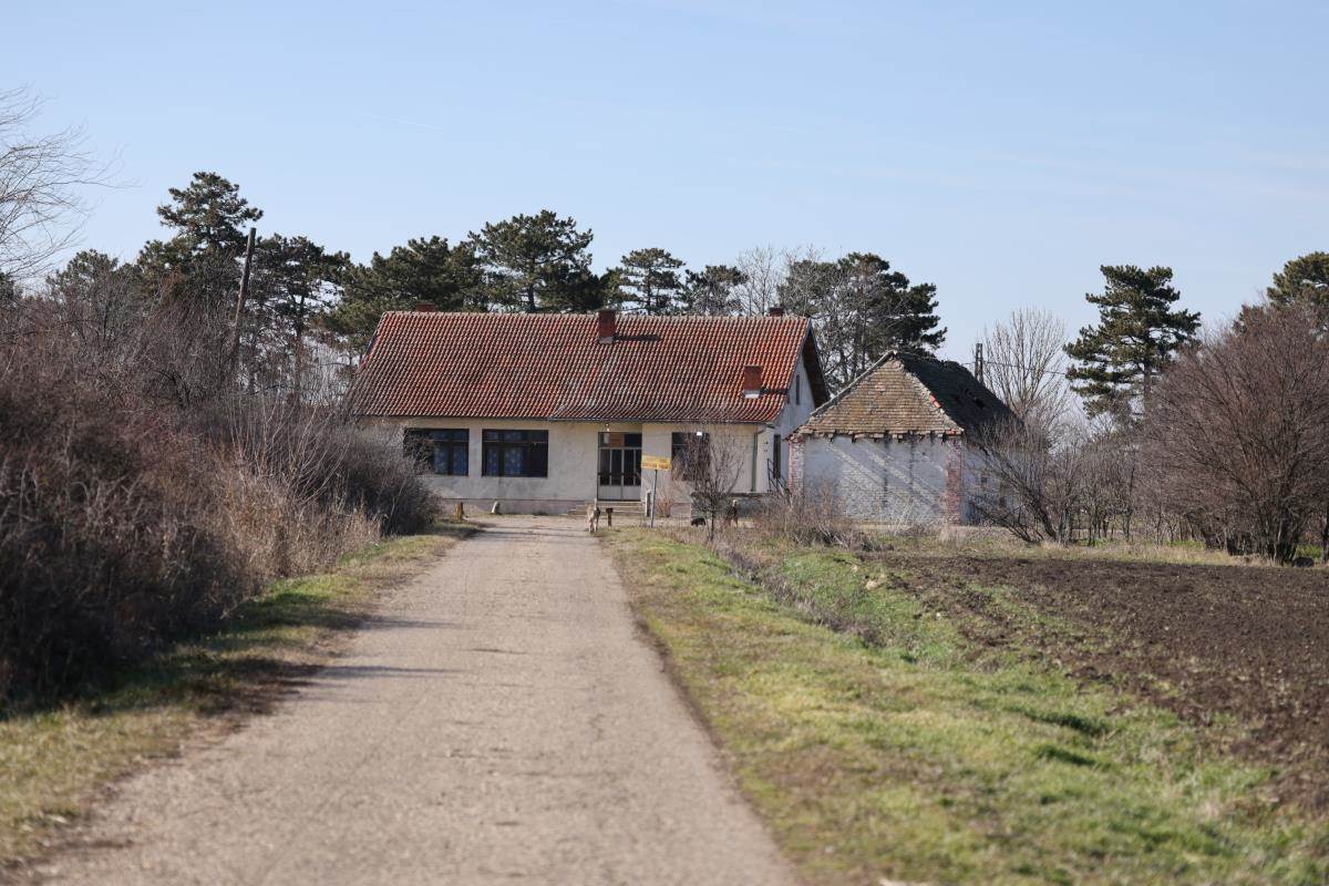 Imanje Dragana Tikića.jpg