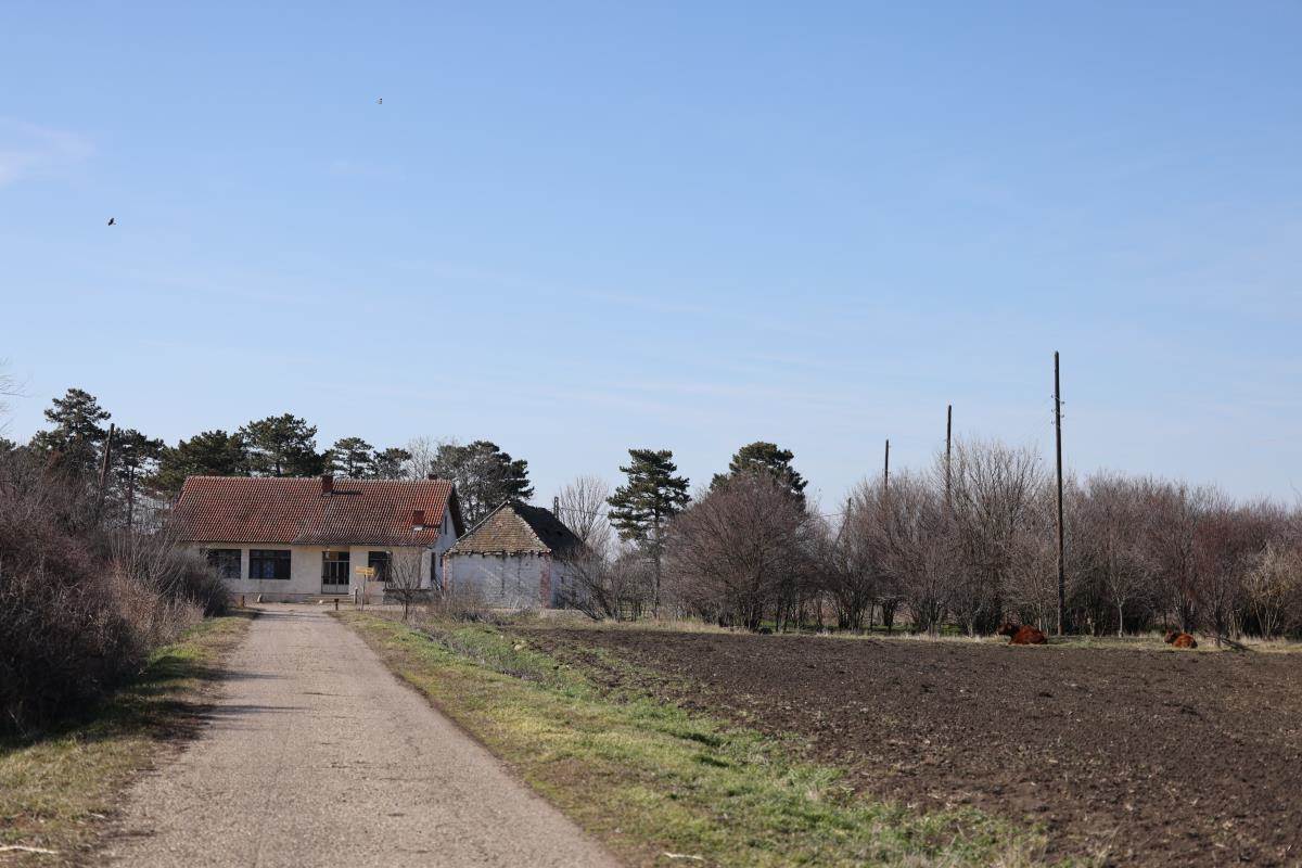 Imanje Dragana Tikića.jpg