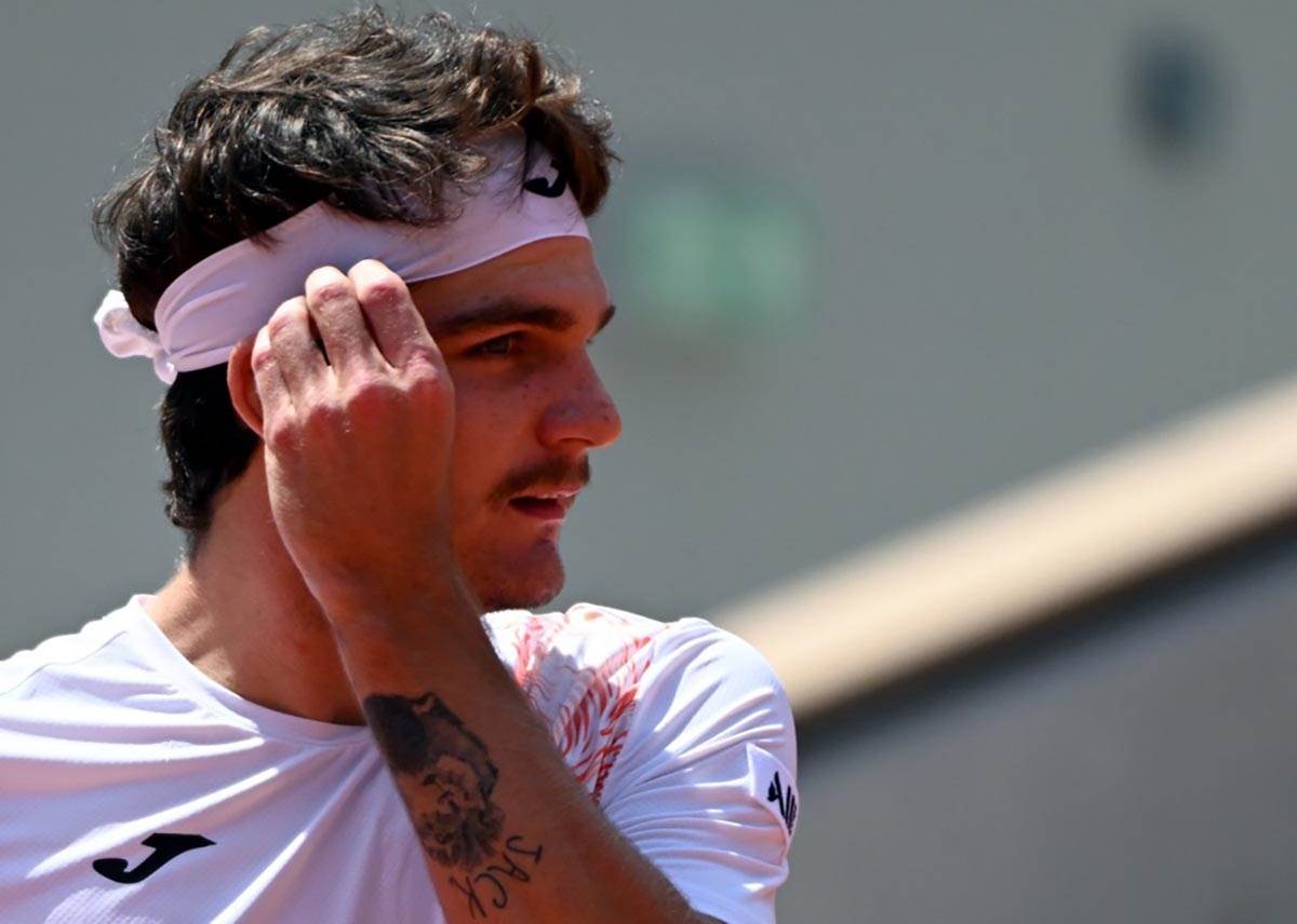 Tijago Zajbot Vild 1200.jpeg