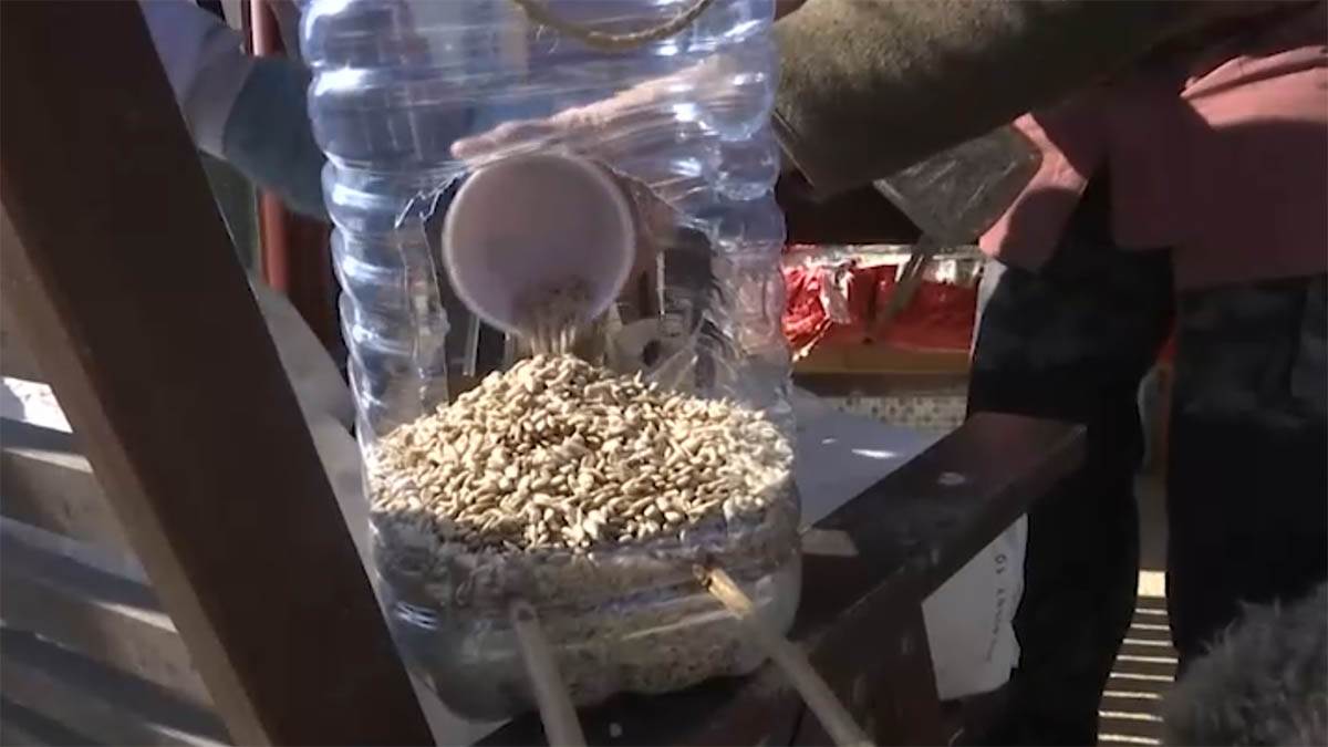 Screenshot 2025-02-24 185642 copy.jpg