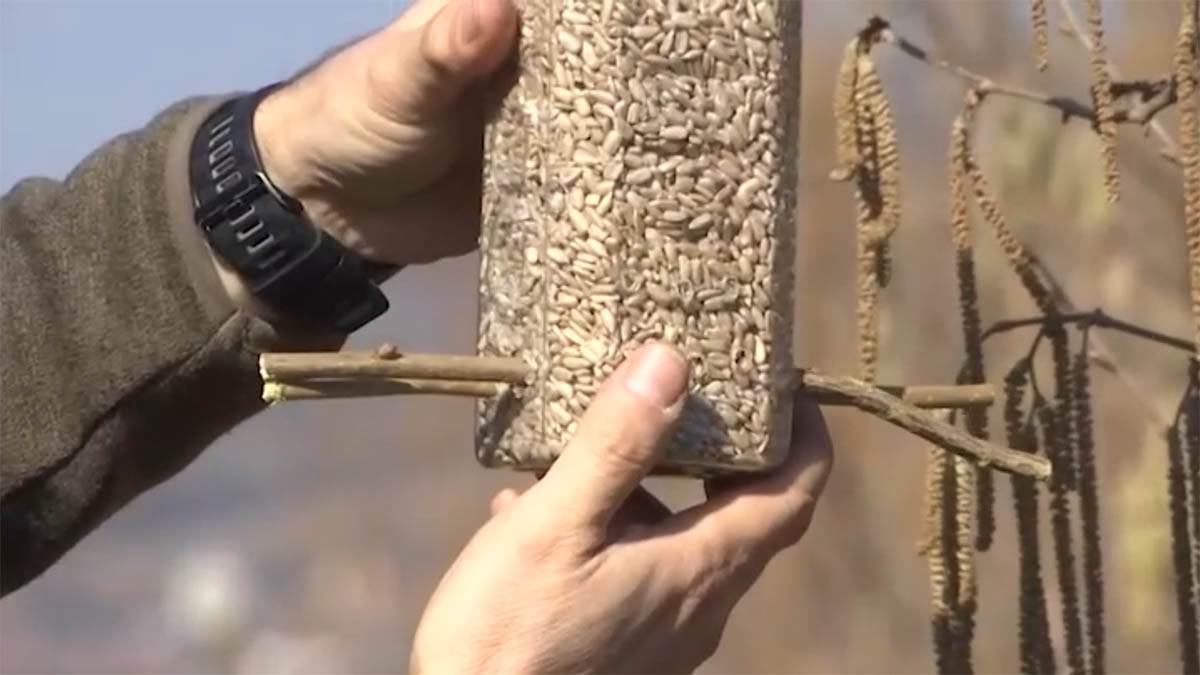 Screenshot 2025-02-24 185715 copy.jpg