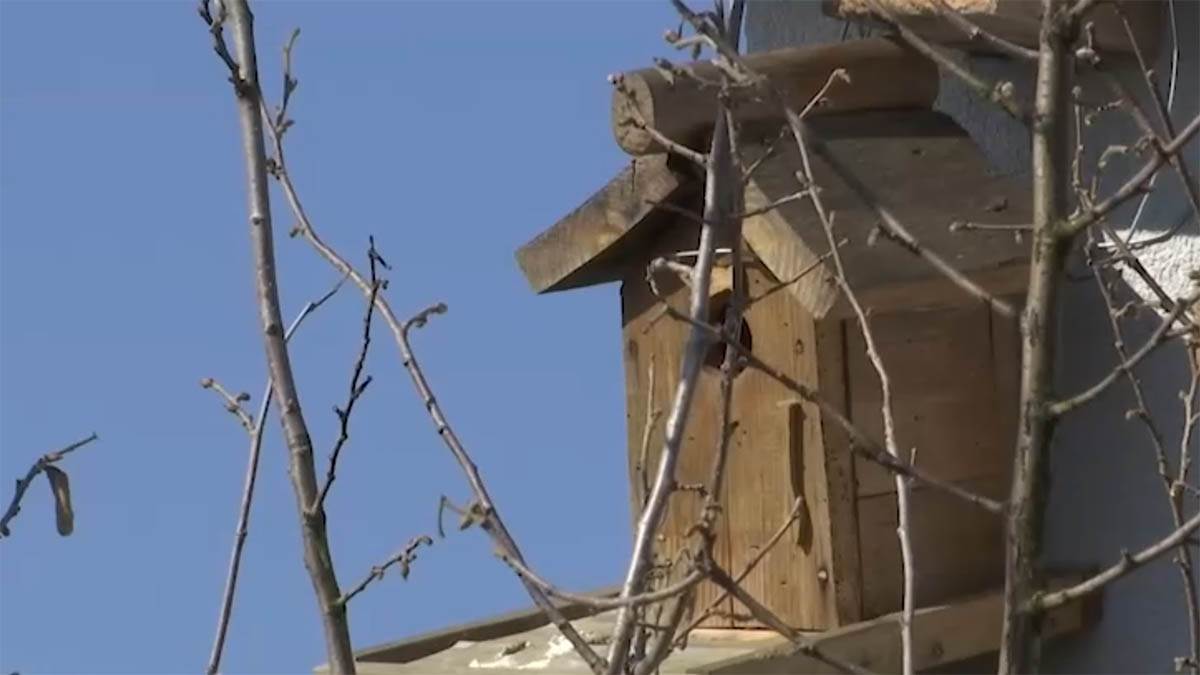 Screenshot 2025-02-24 185814 copy.jpg