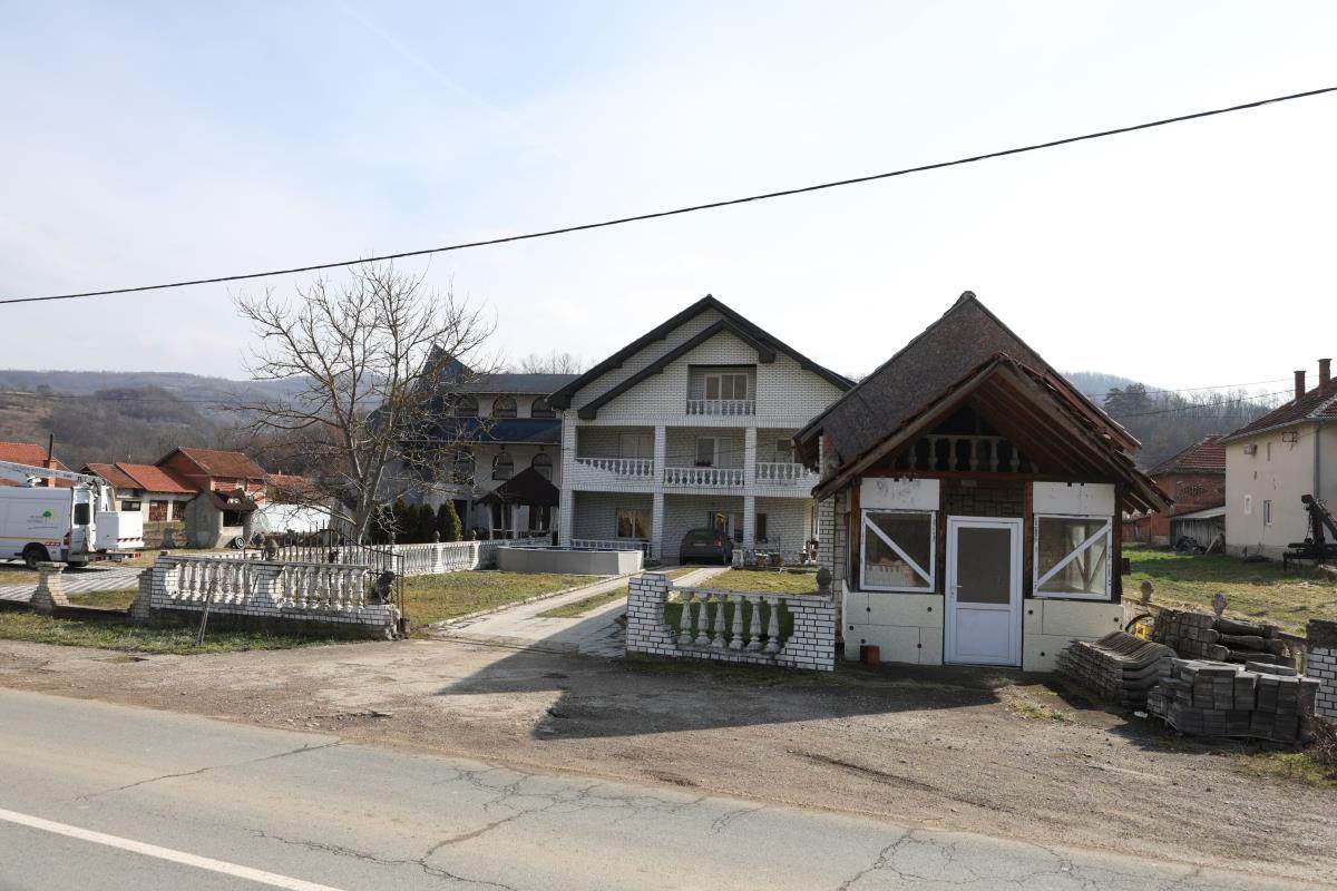 Zoran Radenković (2).jpg