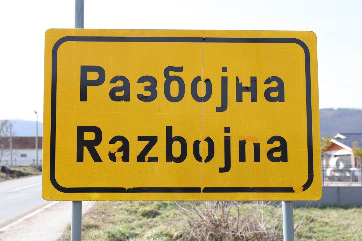 Zoran Radenković (4).jpg