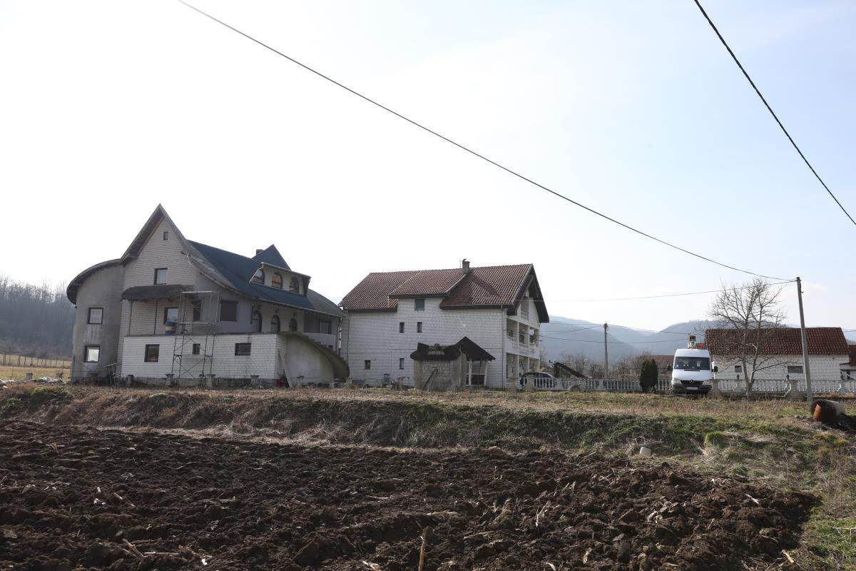 Zoran Radenković (5).jpg