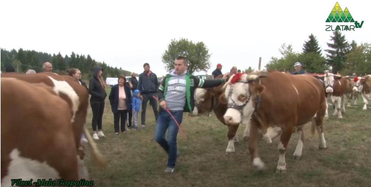 Miloš Matijević  (2).jpg