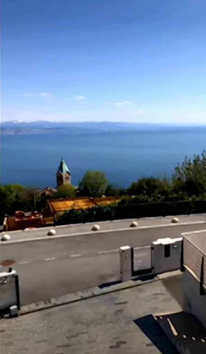 Saša Popović  (5).jpg