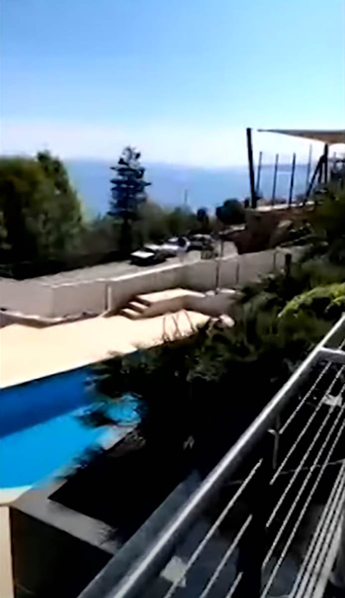 Saša Popović  (1).png