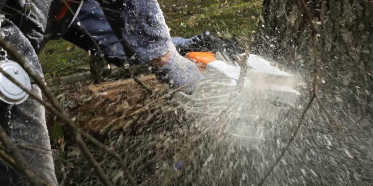 Salko Sarajčić (2).jpg