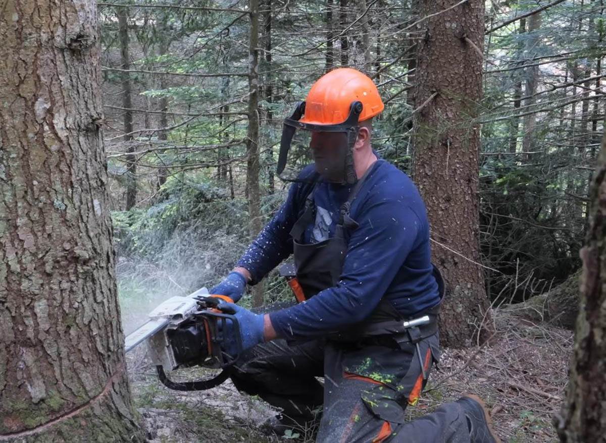 Salko Sarajčić (3).jpg