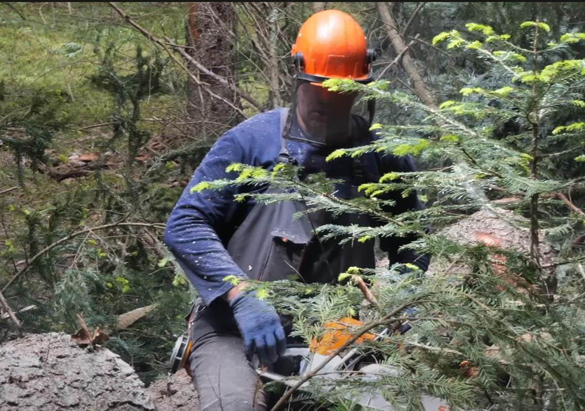 Salko Sarajčić (7).jpg