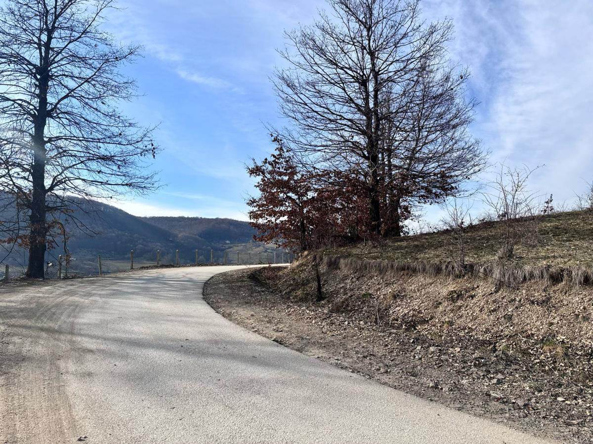 Ahmedin A, selo, Tutin, Esma Tiganj, ubistvo