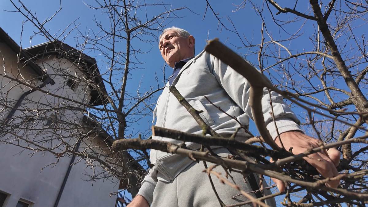 Laza iz Boleča5.jpg