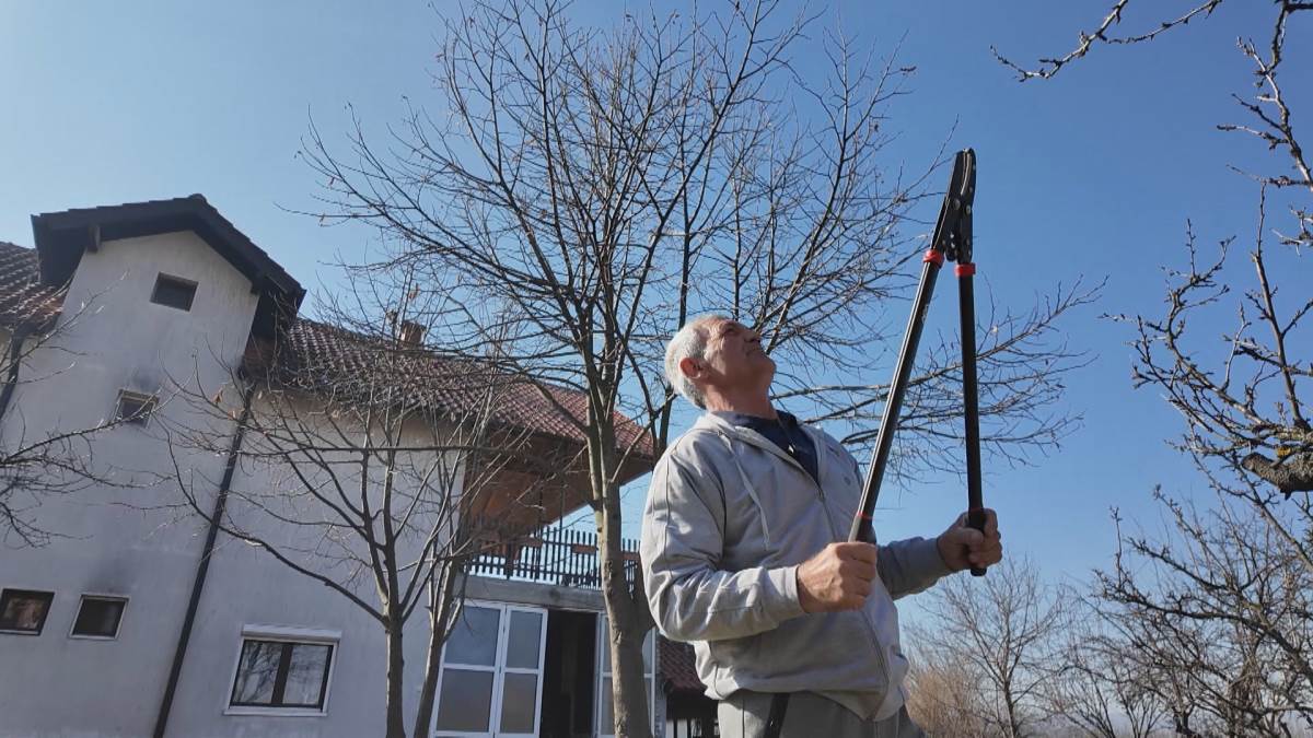 Laza iz Boleča7.jpg