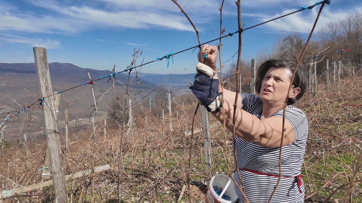 Neškovići  (2).jpg