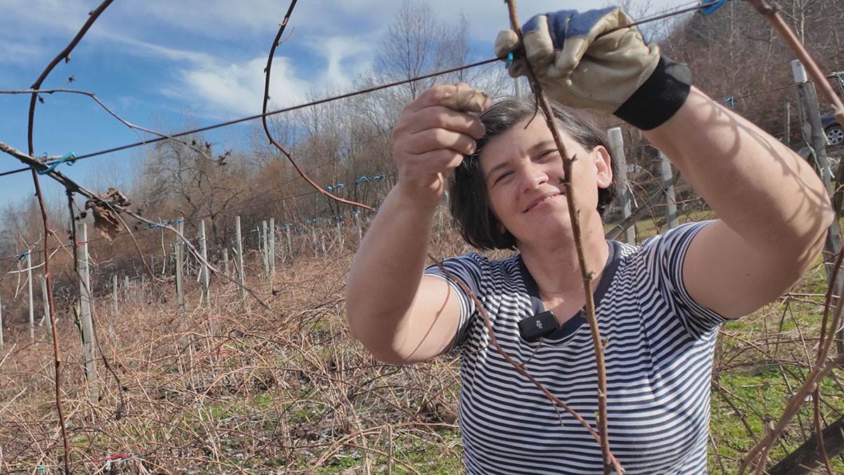 Neškovići  (3).jpg