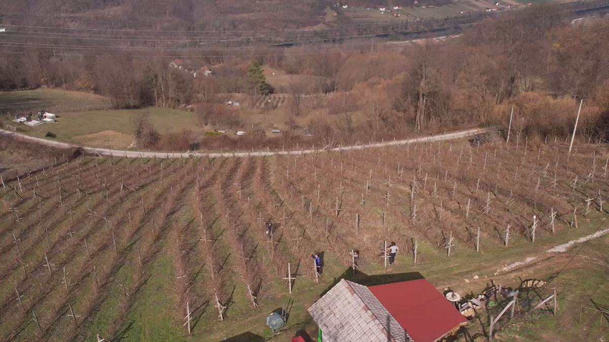 Neškovići  (4).jpg