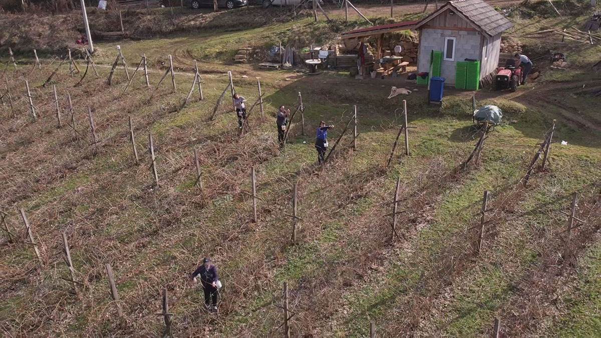 Neškovići  (5).jpg