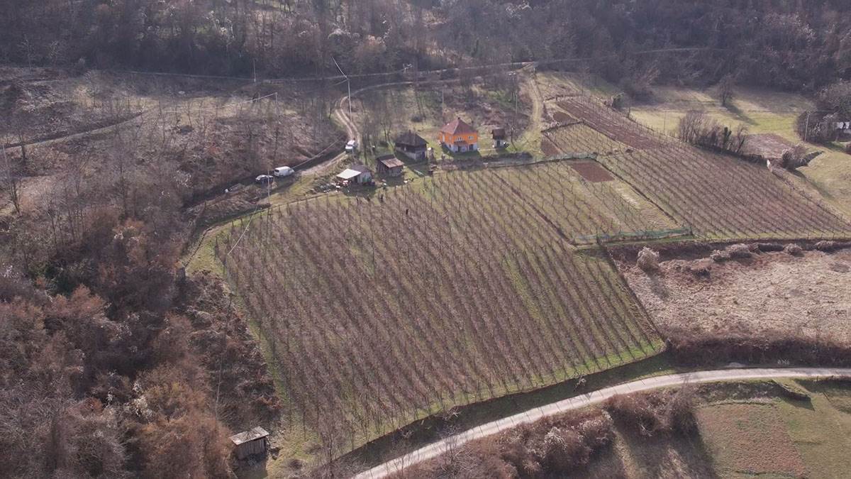 Neškovići  (6).jpg