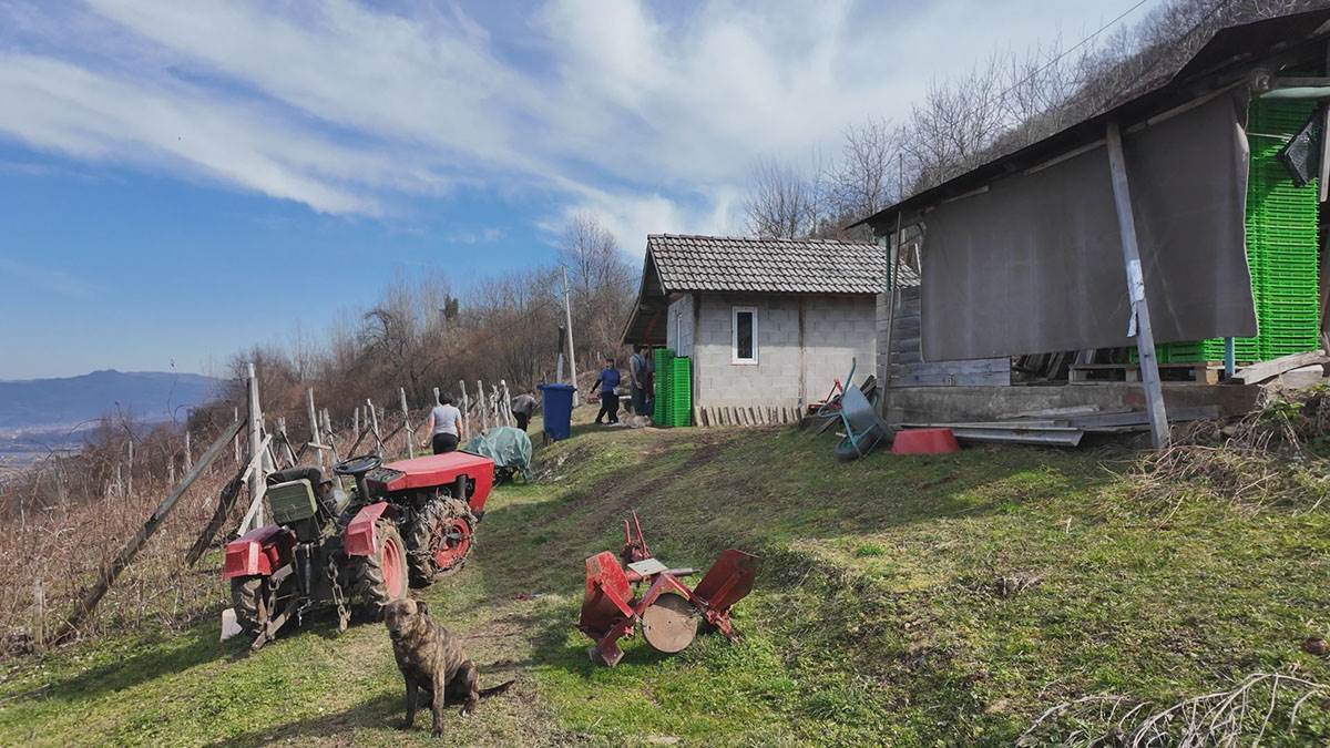 Neškovići  (7).jpg