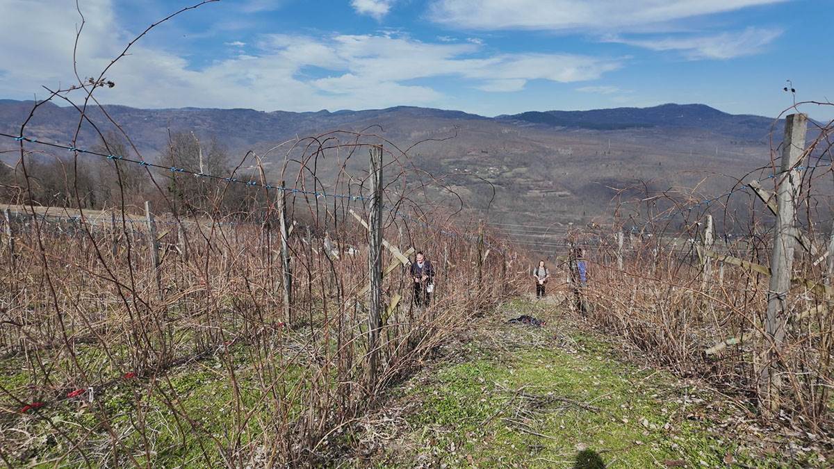 Neškovići  (8).jpg