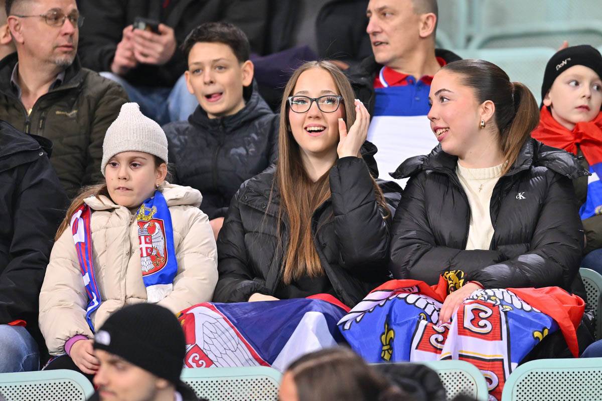 Navijači Srbije (6).jpg